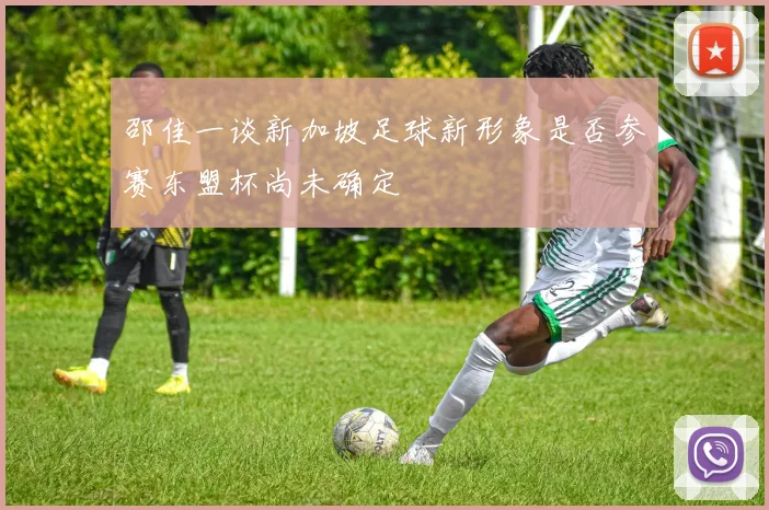 邵佳一谈新加坡足球新形象是否参赛东盟杯尚未确定